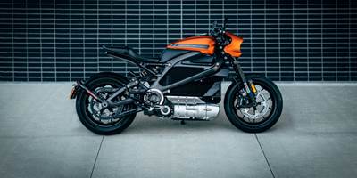 2020 Harley-Davidson® LiveWire